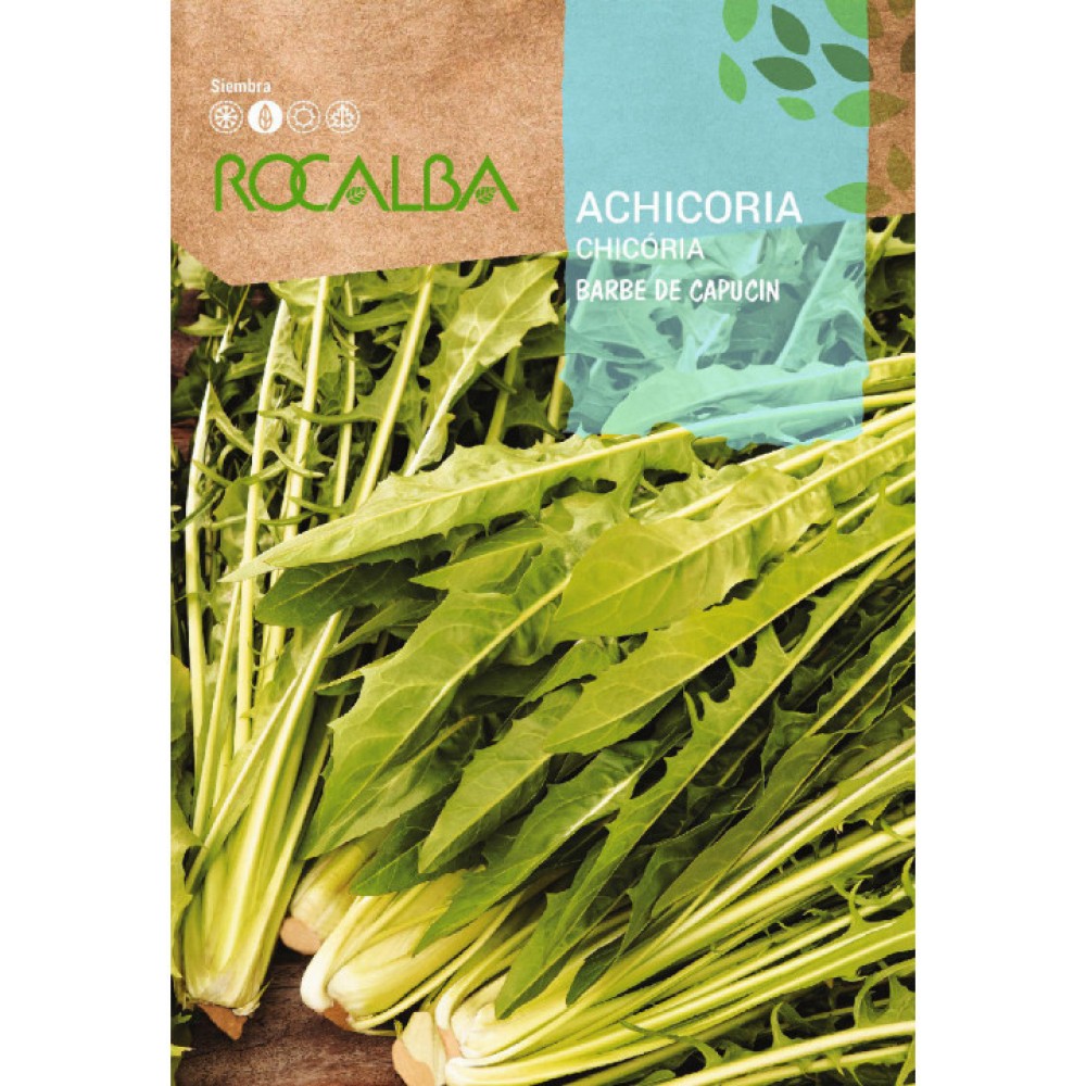 S.CHICORIA ROCALBA DENTE DE LEAO