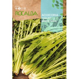 S.CHICORIA ROCALBA DENTE DE LEAO