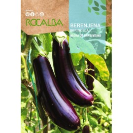 S.BERINJELA ROCALBA PRETA BARB.