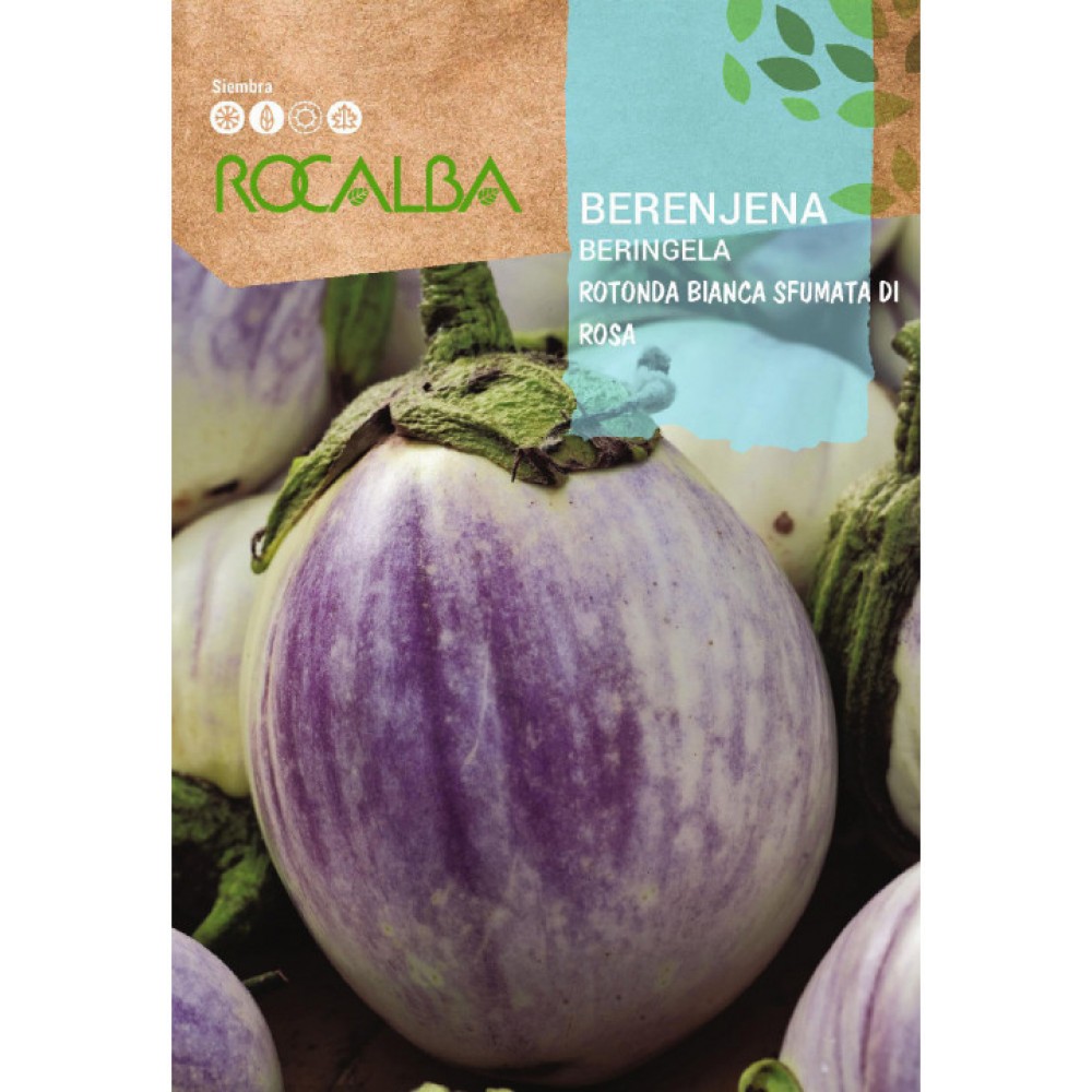 S.BERINJELA ROCALBA ROTONDA BIANCA