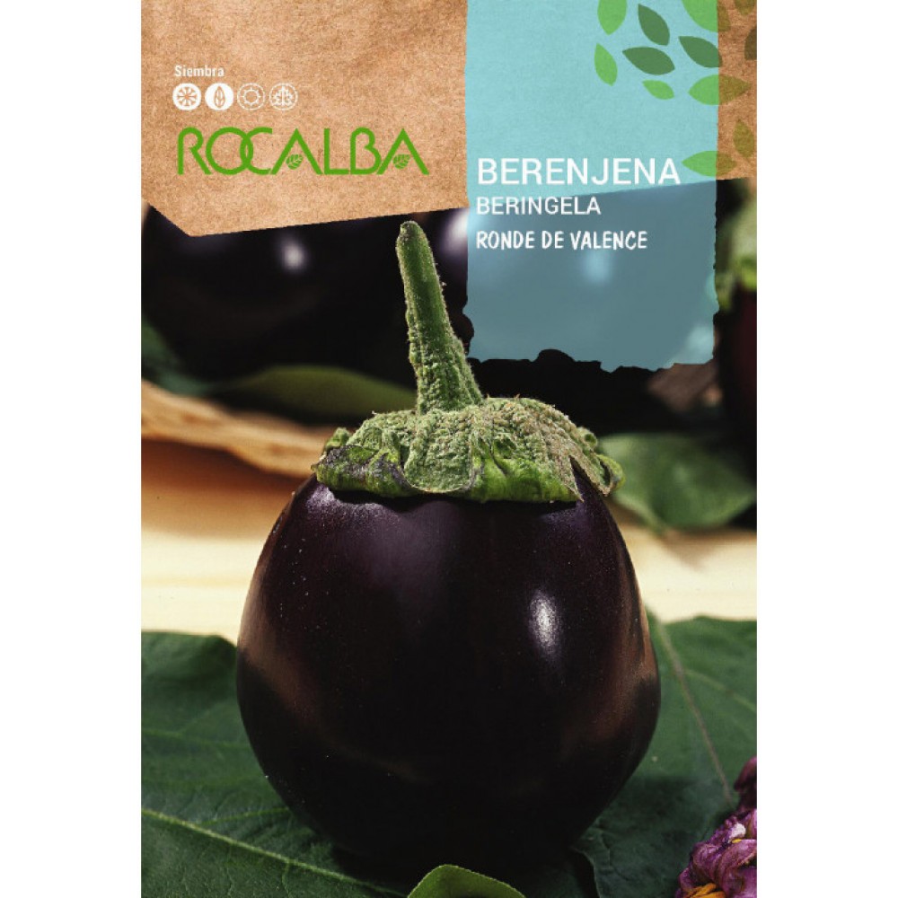S.BERINJELA ROCALBA REDONDA R.DE VALENCE -100gramas