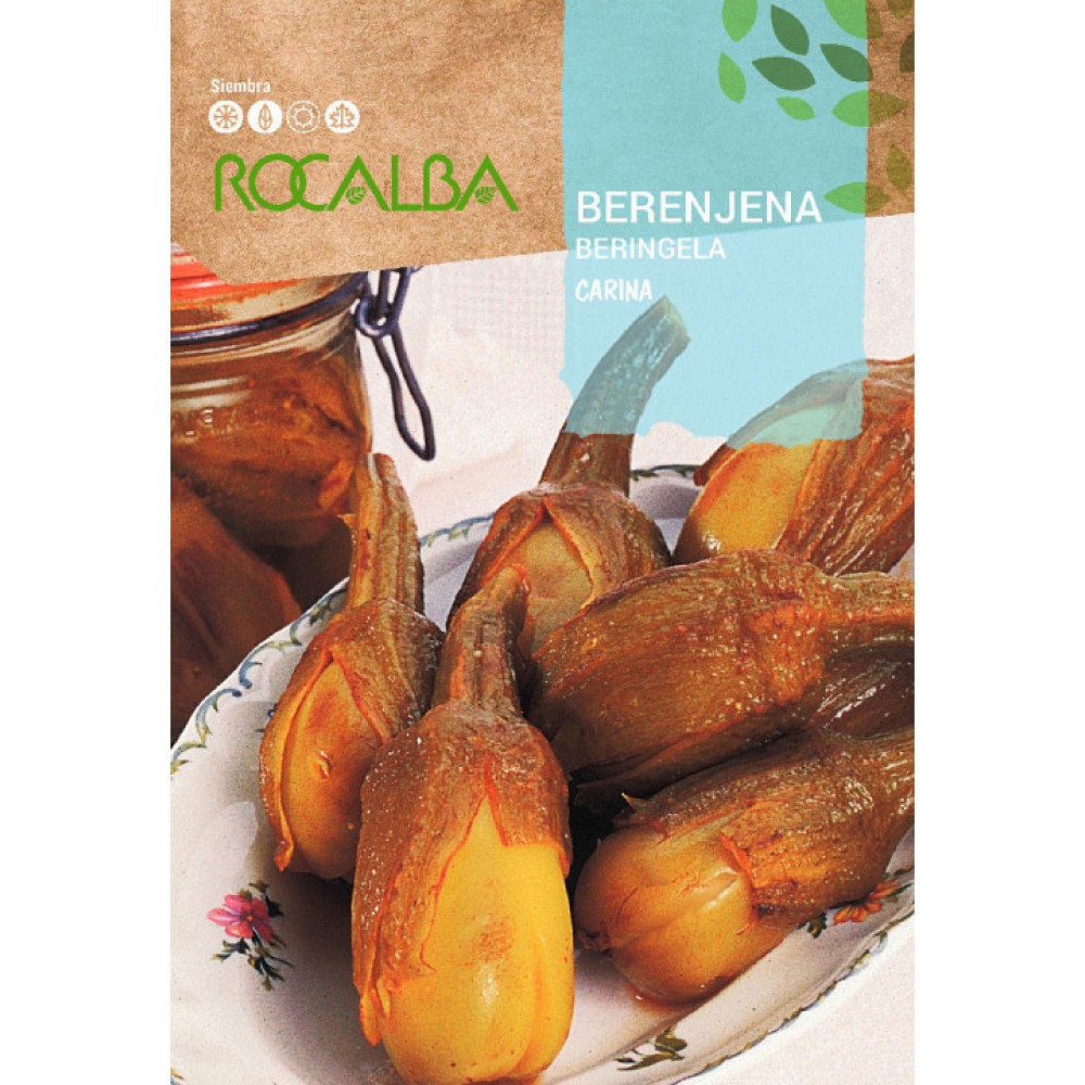 S.BERINGELA ROCALBA DE ALMAGRO