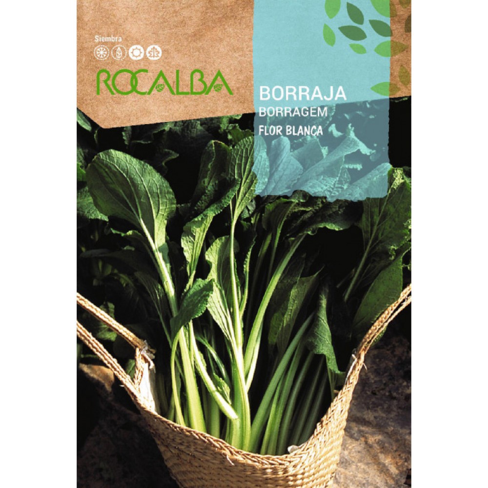 S.BORRAGEM ROCALBA FLOR BRANCA