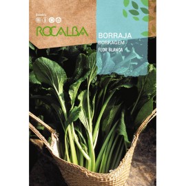 S.BORRAGEM ROCALBA FLOR BRANCA