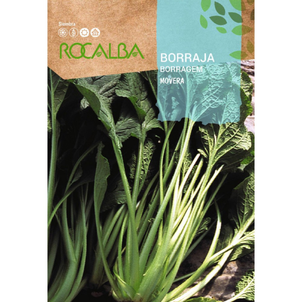 S.BORRAGEM MOVERA ROCALBA