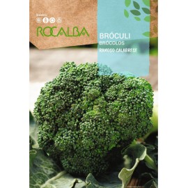 S.BROCOLO ROCALBA VERDE ITALIANO CALABRE