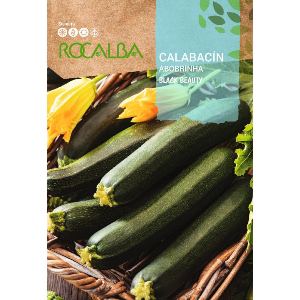 S.ABOBRINHA ROCALBA BLACK BEAU