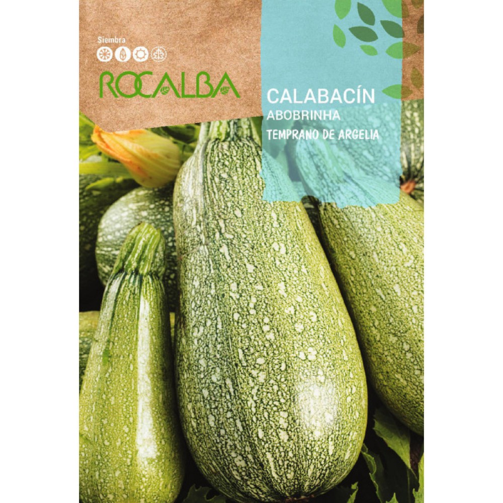 S.ABOBRINHA ROCALBA ARGELIA