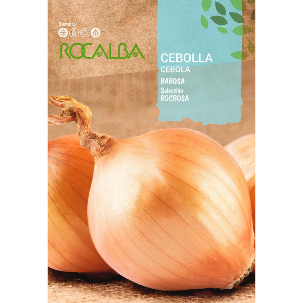S.CEBOLA ROCALBA BABOSA SELECÃO ROCBABOSA