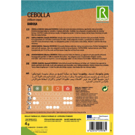 S.CEBOLA ROCALBA BABOSA SELECÃO ROCBABOSA