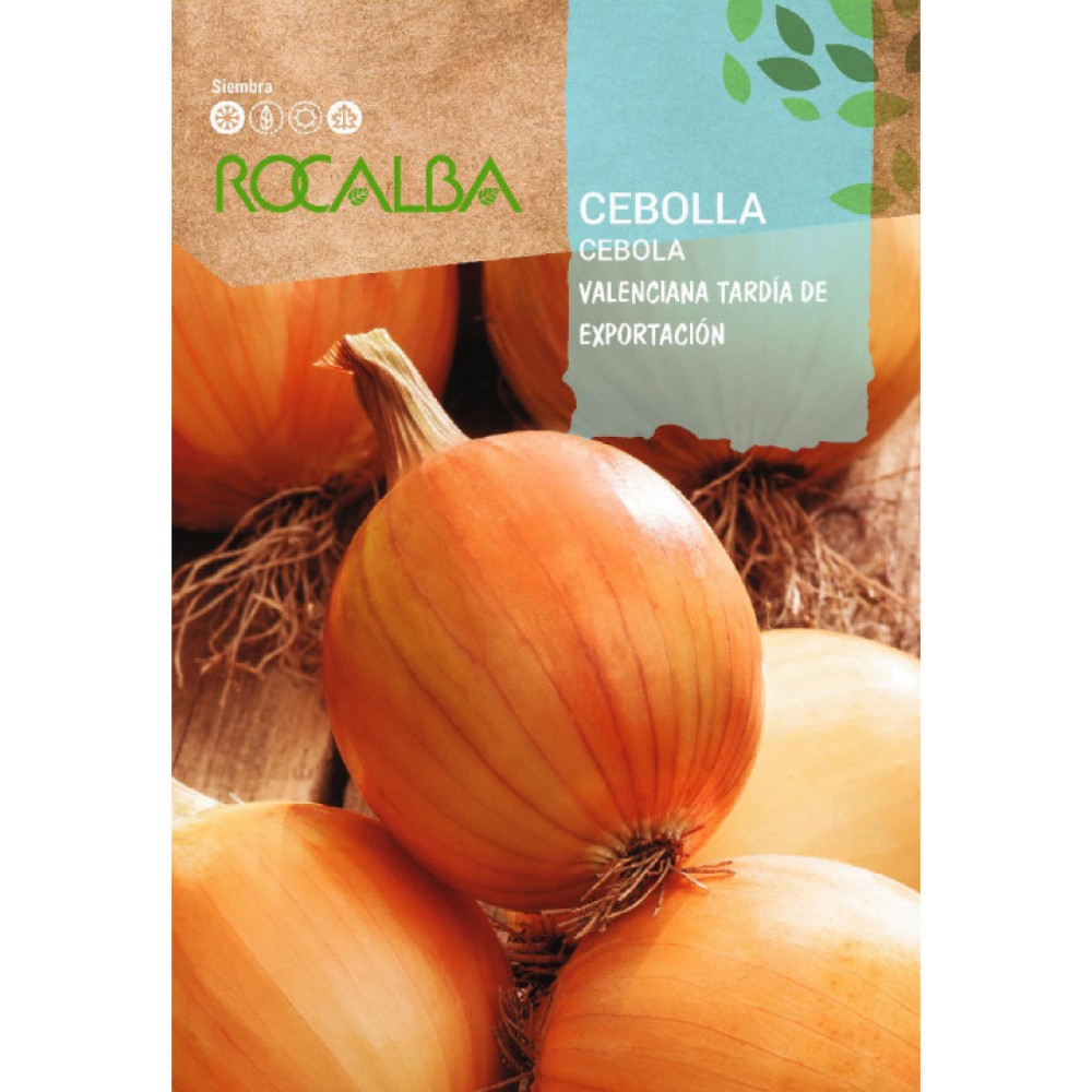 S.CEBOLA ROCALBA VALENCIANA GR.