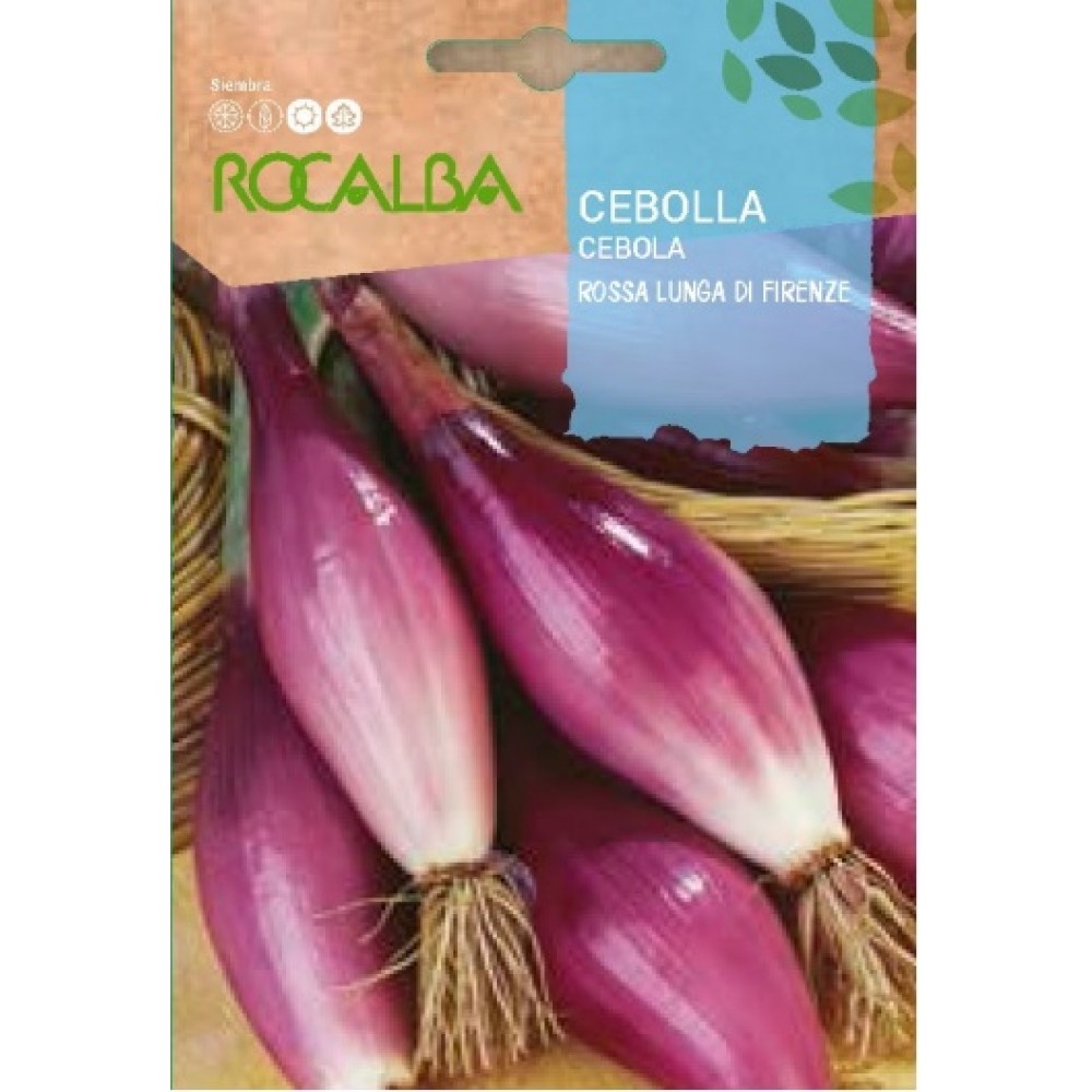 S.CEBOLA ROCALBA VERMELHA LUNGA DI FIRENZE