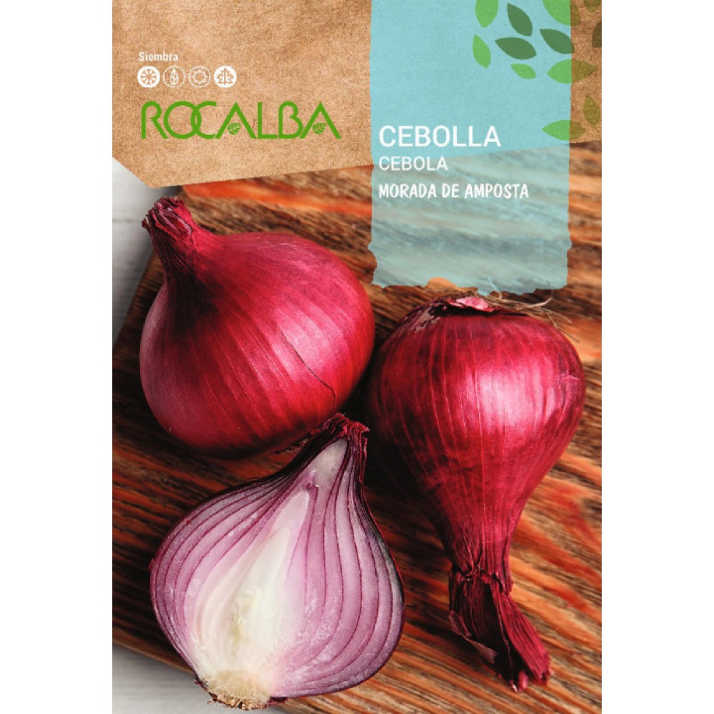S.CEBOLA ROCALBA ROXA DE AMPOSTA