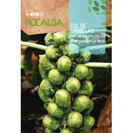 S.COUVE ROCALBA BRUXELAS SEMI-ANA HALLE -100 gramas