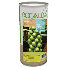 S.COUVE ROCALBA BRUXELAS SEMI-ANA HALLE - 500G