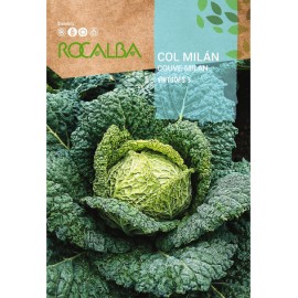 S.COUVE ROCALBA MILAN DE AUBERVILLIERS