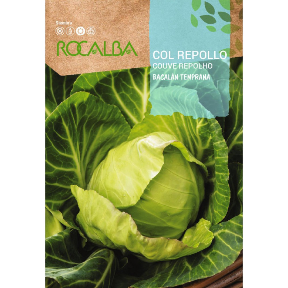 S.COUVE ROCALBA REPOLHO BACALAN PREMATUR - 100 gramas