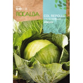 S.COUVE ROCALBA REPOLHO BRUNSWICK