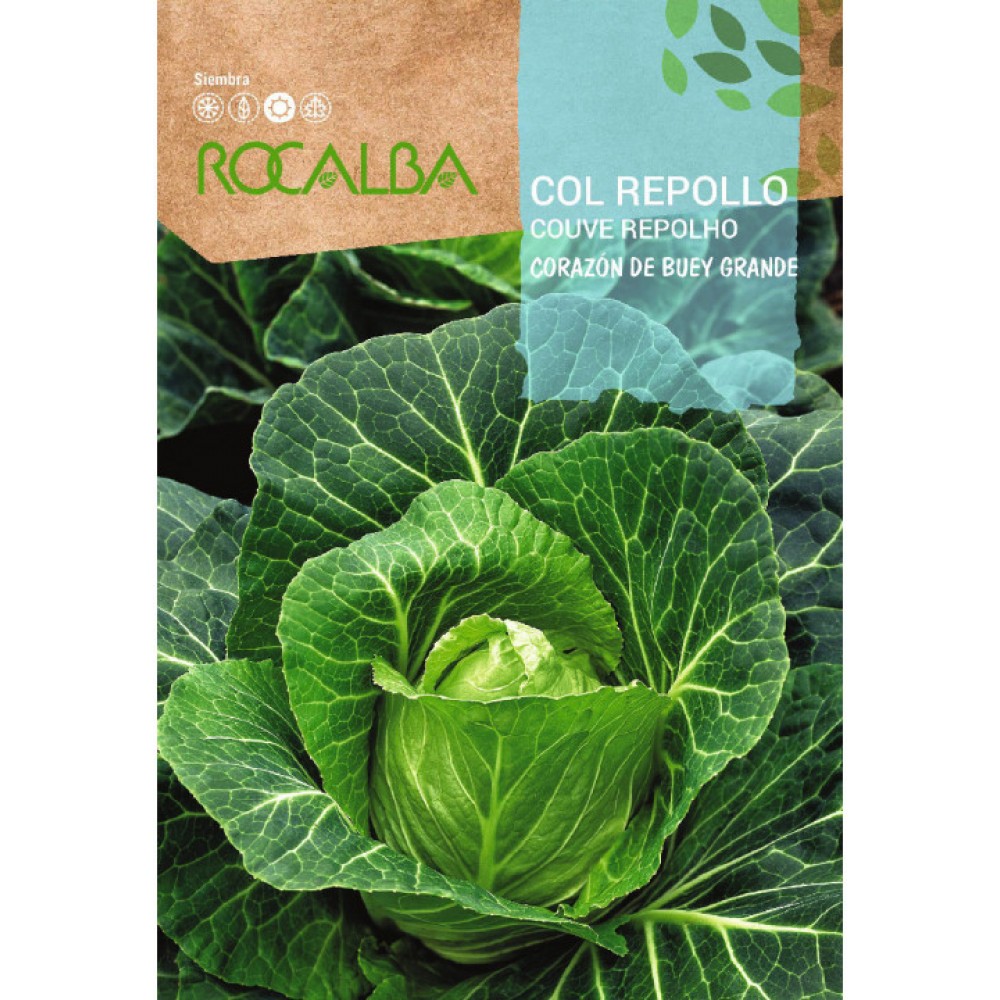 S.COUVE ROCALBA REPOLHO CORAÇÃO DE BOI -100 gramas