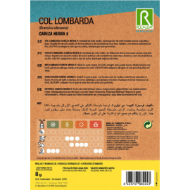 S.COUVE ROCALBA LOMBARDA CABEÇA DE NEGRO
