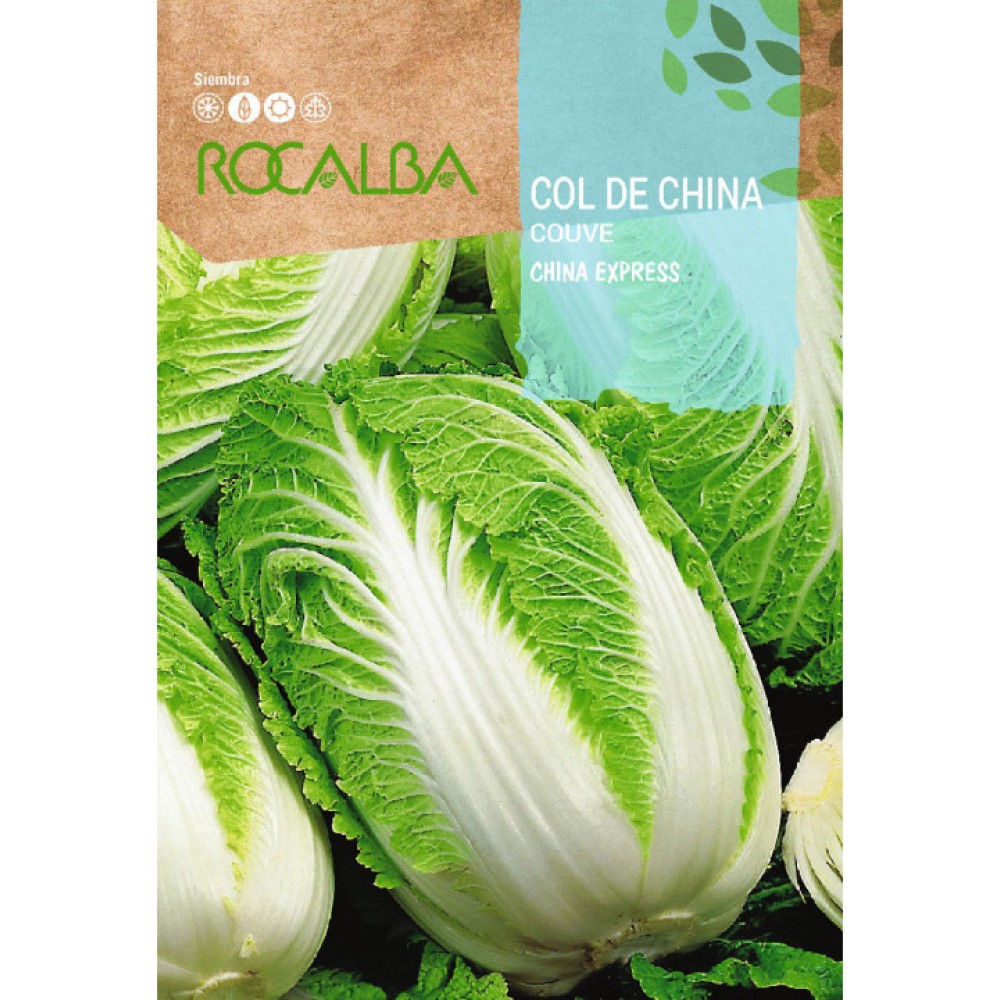 S.COUVE DA CHINA ROCALBA
