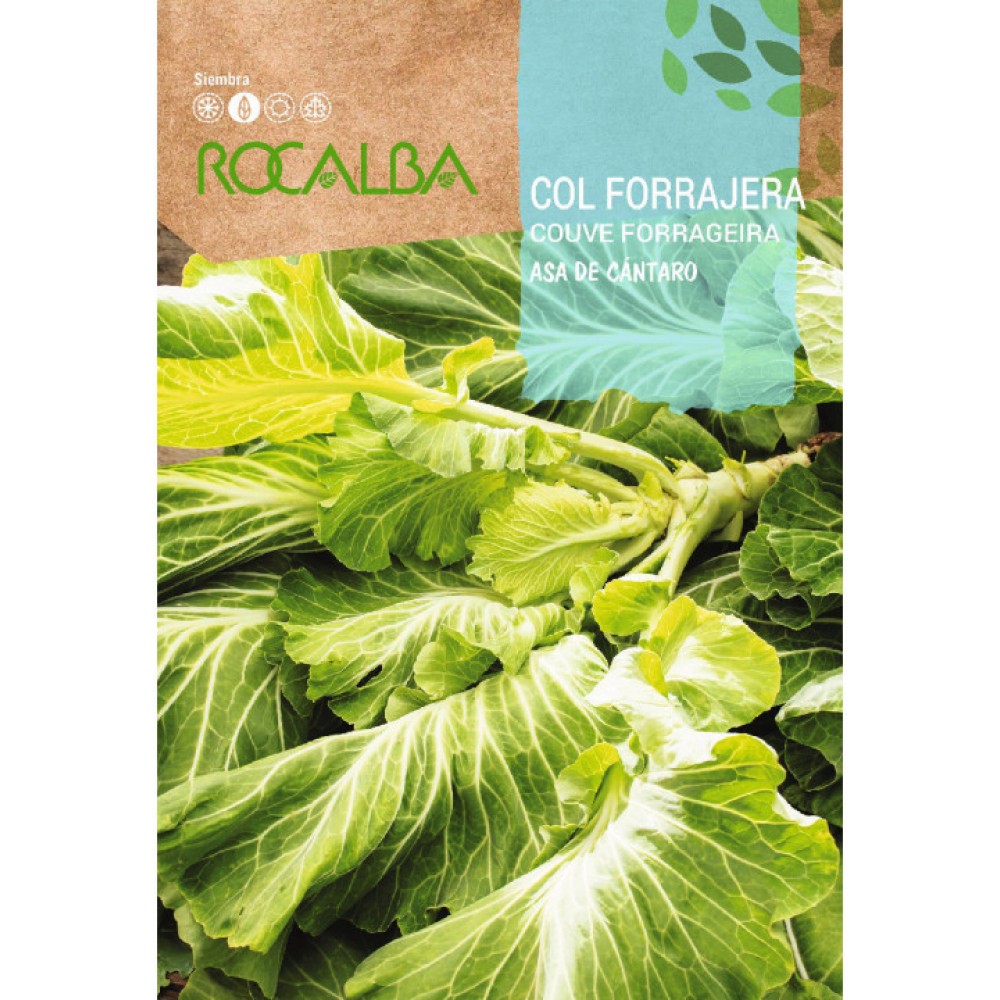 S.COUVE TRONCHUDA ROCALBA ASA DE CANTARO