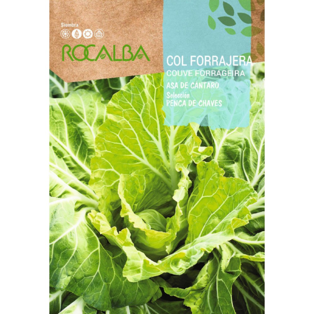 S.COUVE ROCALBA PENCA DE CHAVES