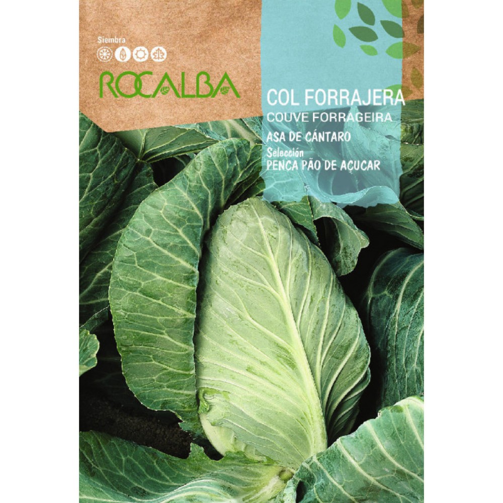 S.COUVE ROCALBA PAO DE AÇUCAR