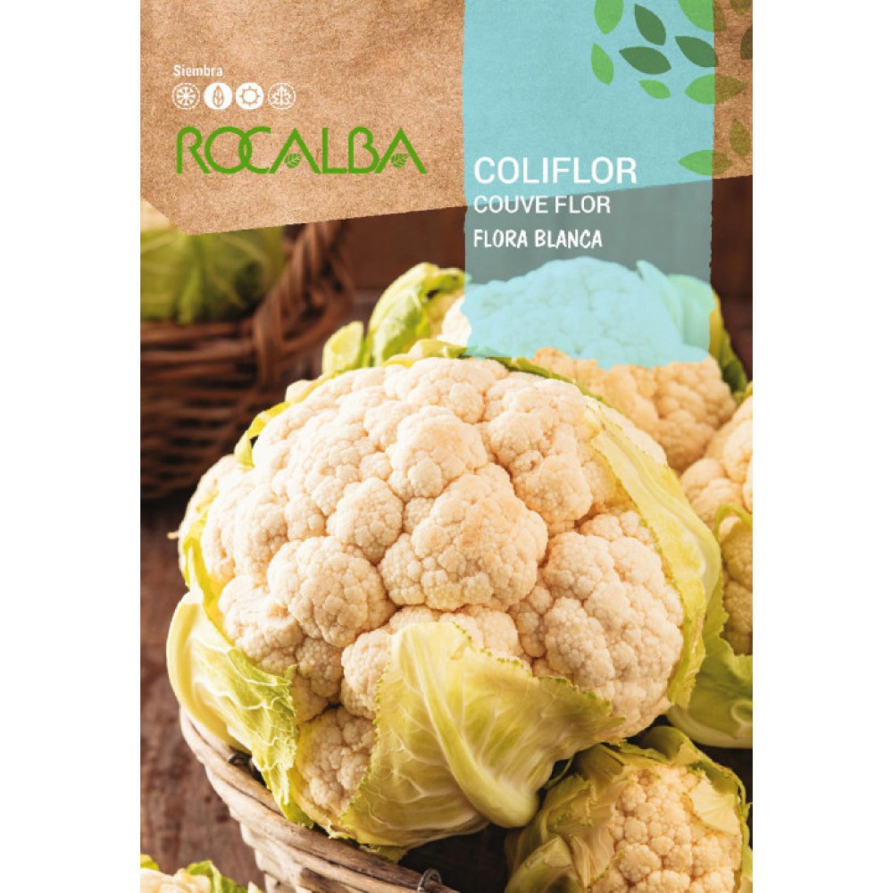 S.COUVE FLOR ROCALBA FLORABRANCA