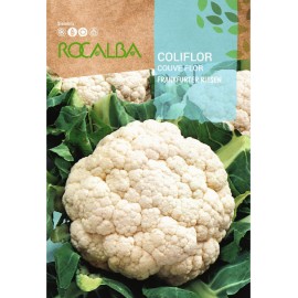 S.COUVE FLOR ROCALBA FRANKFURT