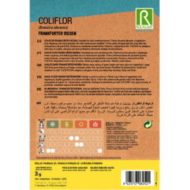 S.COUVE FLOR ROCALBA FRANKFURT