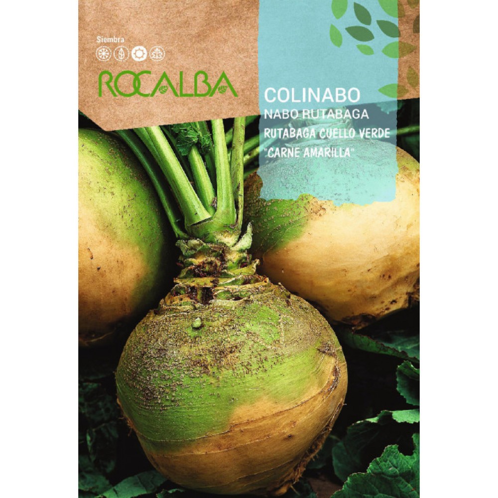S.NABO ROCALBA RUTABAGA DE CAULE VERDE