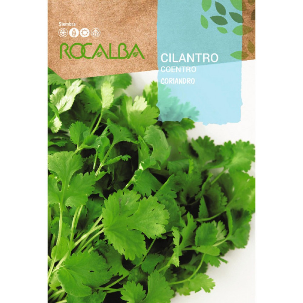 S.COENTROS AROMATICOS ROCALBA
