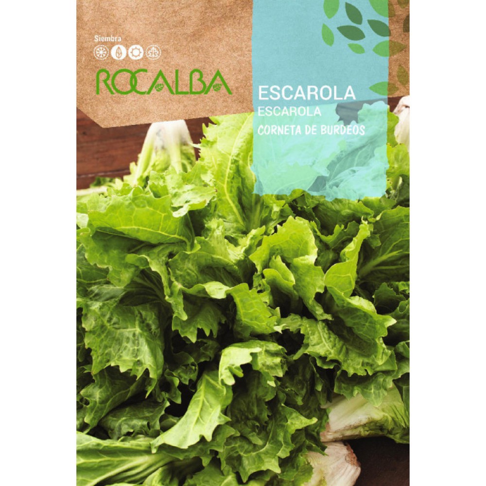 S.ESCAROLA ROCALBA CORNETA DE BURDEOS