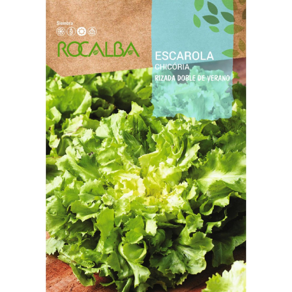 S.CHICORIA ROCALBA FRISADA DUPLA VERAO