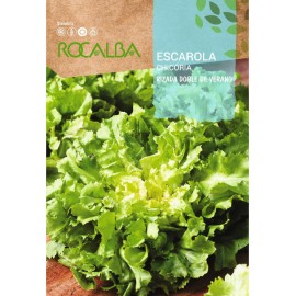 S.CHICORIA ROCALBA FRISADA DUPLA VERAO