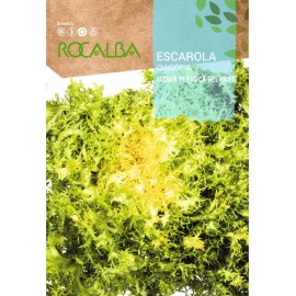 S.CHICORIA ROCALBA FRISADA PERRUCA PRAT