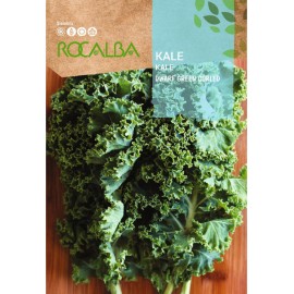 S.COUVE ROCALBA KALE DWARF GREEN CURLED