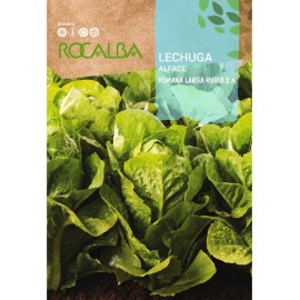 S.ALFACE ROCALBA ROMANA LARGA RUBIA