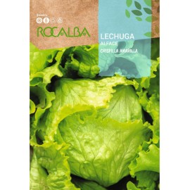 S.ALFACE ROCALBA CRISPILLA AMARILLA