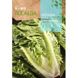 S.ALFACE ROCALBA ROMANA SARAGOÇANA