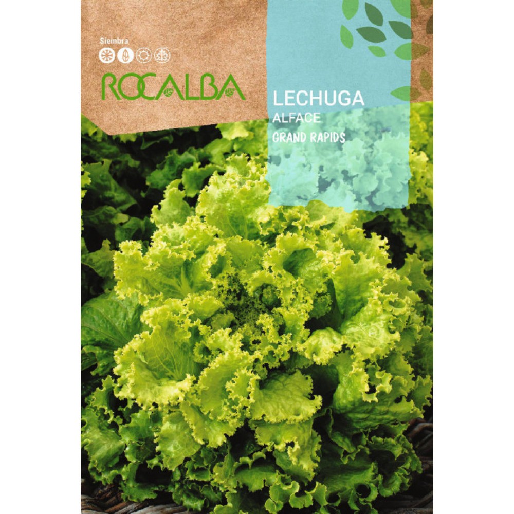 S.ALFACE ROCALBA GRAND RAPIDS