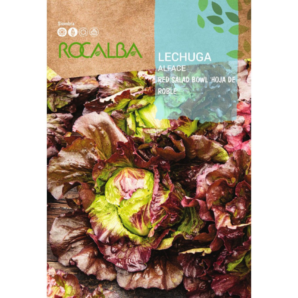 S.ALFACE ROCALBA RED SALAD BOWL-CARTEIRA
