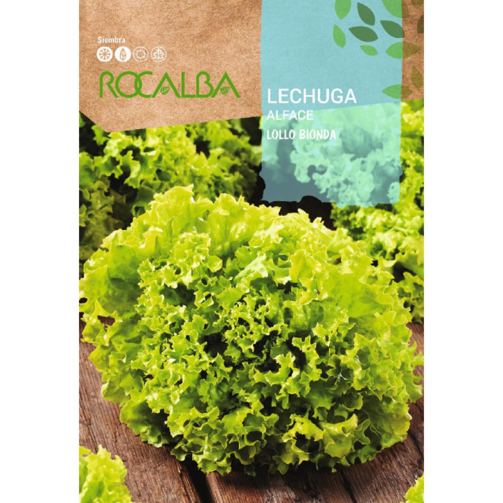 S.ALFACE ROCALBA LOLLO BIONDA-CARTEIRA