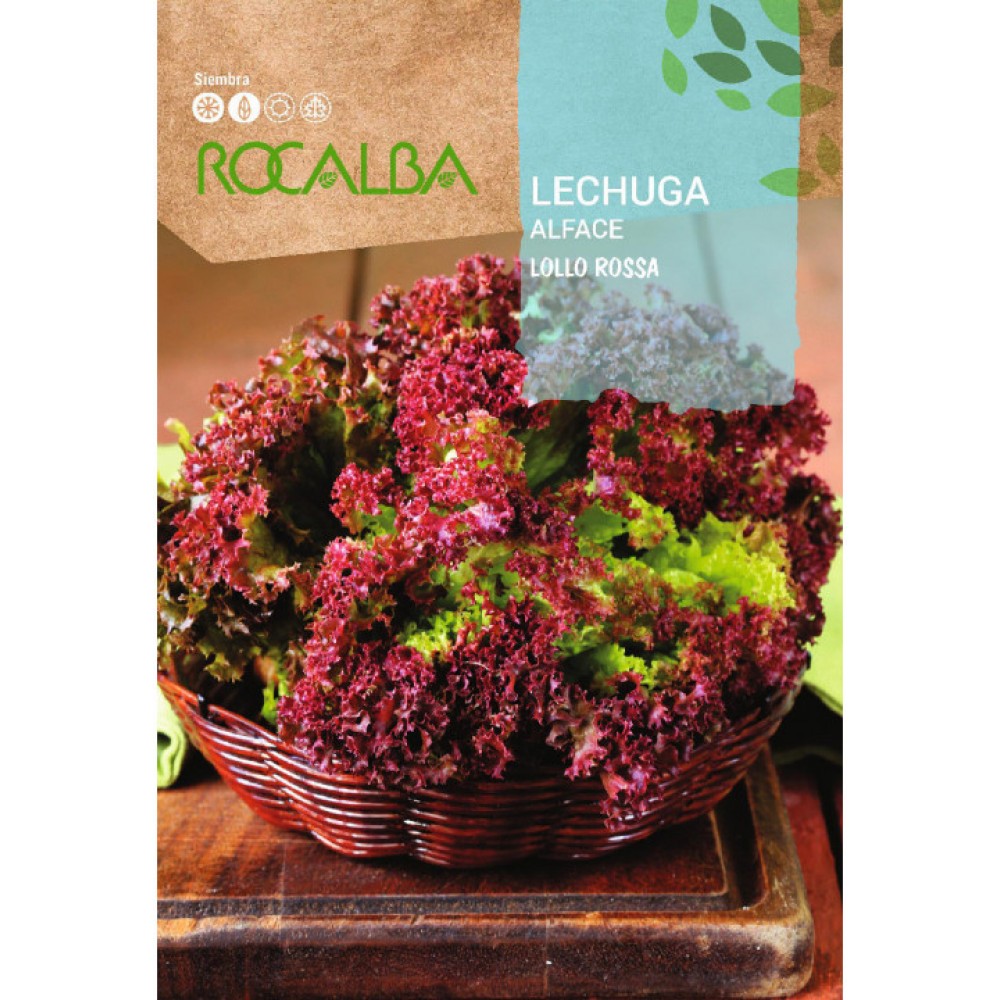 S.ALFACE ROCALBA LOLLO ROSSA-CARTEIRA