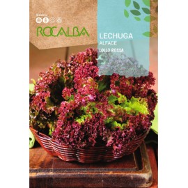 S.ALFACE ROCALBA LOLLO ROSSA-CARTEIRA