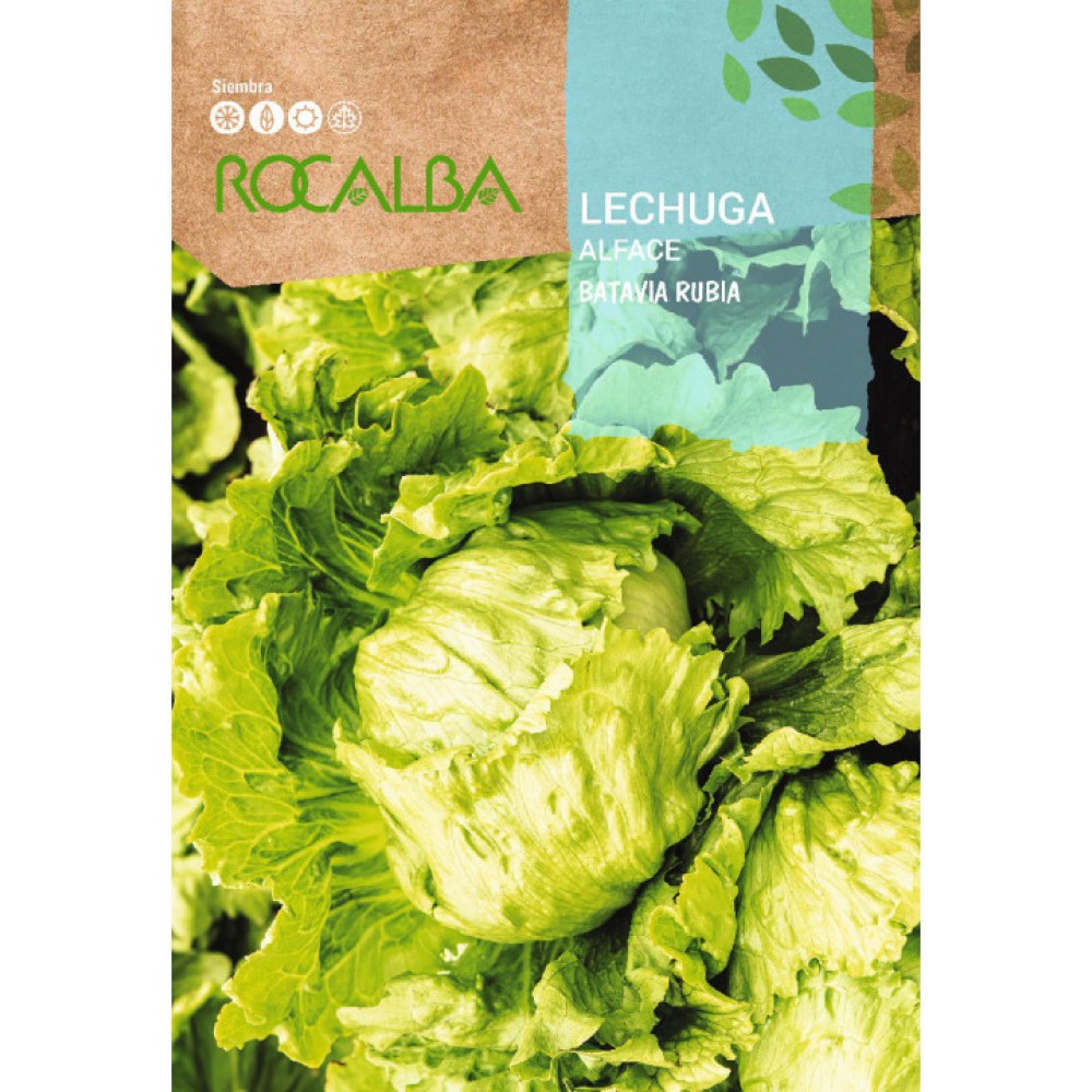 S.ALFACE ROCALBA LOURA