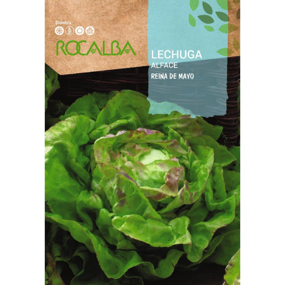 S.ALFACE ROCALBA RAINHA DE MAIO