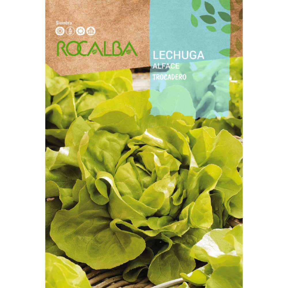 S.ALFACE ROCALBA TROCADERO