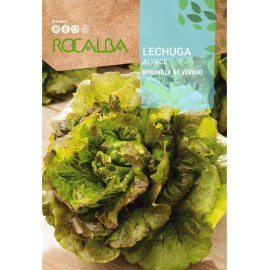 S.ALFACE ROCALBA MARAVILHA DE VERAO